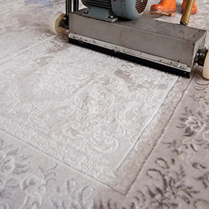 Alpaca Carpet